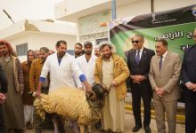 صورة “بحوث الصحراء” يوزع كباش “برقي” وشتلات زيتون لدعم المربين والمزارعين بمحافظة مطروح”بحوث الصحراء” يوزع كباش “برقي” وشتلات زيتون لدعم المربين والمزارعين بمحافظة مطروح