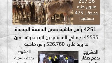 صورة ” الزراعة ” توافق على صرف أكثر من 297 مليون جنيه تمويلا جديدا للمشروع القومى للبتلو