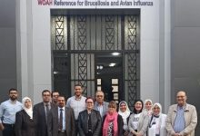 صورة الزراعة” تعلن حصول “معهد صحة الحيوانية” على شهادة المنظمة العالمية للصحة الحيوانية
