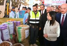 صورة سلامة الغذاء: شن  42 حملة رقابية على السلاسل التجارية، وإجمالي الفروع يرتفع إلى 2224 يتبع 59 سلسلة تجارية(صور)