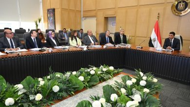 صورة تجارية القاهرة  :المرحلة المقبلة تتطلب تمكين المشروعات الصغيرة والمتوسطة ومتناهية الصغر لدعم النمو الصناعي  