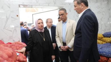 صورة وزير الزراعة : صادرات البطاطس تحتل المرتبة الثانية بنحو 1.3 مليون طن