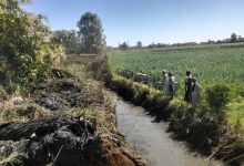 صورة “الزراعة” تكثف أعمال تطهير المساقي بمحافظة الأقصر تزامناً مع موسم كسر القصب