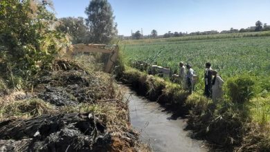 صورة “الزراعة” تكثف أعمال تطهير المساقي بمحافظة الأقصر تزامناً مع موسم كسر القصب