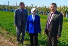 صورة “الزراعة” تشن حملة تفتيش مفاجئة بالجيزة واجتماعات موسعة بالغربية لحماية الرقعة الزراعية