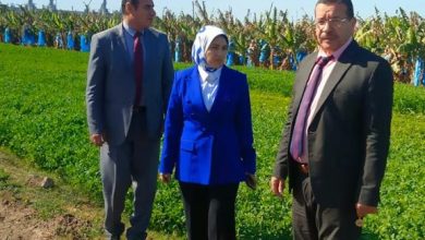 صورة “الزراعة” تشن حملة تفتيش مفاجئة بالجيزة واجتماعات موسعة بالغربية لحماية الرقعة الزراعية