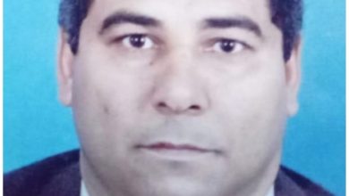 صورة د. مصطفى ابراهيم يكتب : العوامل التي تساعد على فساد بيض المائده