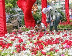 صورة “الزراعة” تعلن فتح باب الحجز للمشاركة بمعرض زهور الربيع 2026