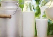 صورة د. ناهد الوحش تكتب : دور منتجات الألبان المخمرة في دعم توازن الميكروبيوم المعوي أثناء الصيام