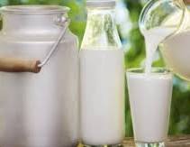 صورة د. ناهد الوحش تكتب : دور منتجات الألبان المخمرة في دعم توازن الميكروبيوم المعوي أثناء الصيام