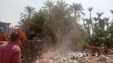 صورة “لجنة استرداد الاراضي ” تتلقى ٩١ الف طلب تقنين لأراضى الدولة