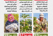 صورة “الزراعة” تعلن خريطة أصناف القطن المعتمدة لموسم