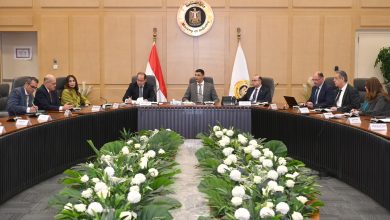 صورة وزير الصناعة يبحث مع وزيري الاستثمار والتجارة  والمالية تنمية صناعة السيارات