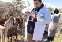 صورة “بحوث الصحراء” ينفذ قافلة بيطرية بشمال سيناء لدعم الثروة الحيوانية(صور)
