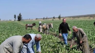 صورة وزير الزراعة يتابع تقارير غرف العمليات بحماية الأراضي ومديريات الزراعة  في أول ايام العيد