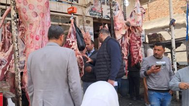 صورة ضبط 38 طنًا من اللحوم والأسماك غير المطابقة وتحرر 299 محضرًا