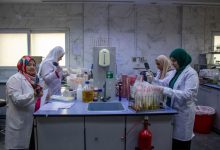 صورة ” الزراعة ” تفحص 1900 عينة من الشحنات المصدرة  والمستوردة من المبيدات خلال تاني ايام العيد