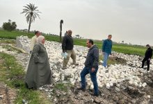 صورة “الزراعة”: حملات ميدانية بالمحافظات للحفاظ على الرقعة الزراعية من التعدي في ثاني أيام عيد الفطر