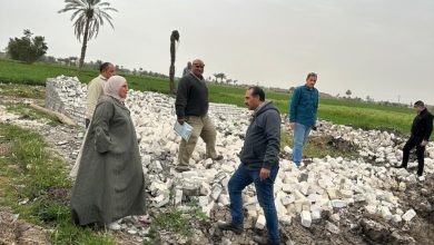 صورة “الزراعة”: حملات ميدانية بالمحافظات للحفاظ على الرقعة الزراعية من التعدي في ثاني أيام عيد الفطر