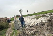 صورة استيرداد اراضي الدولة: المحافظات تبدأ تسليم عقود التقنين لاراضى الدولة