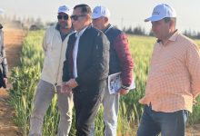 صورة  “شركة الريف المصرى ” ترفع درجة الإستعداد القصوى.. لمواجهة موجة الطقس السيئ فى مختلف مناطق مشروع المليون ونصف المليون فدان