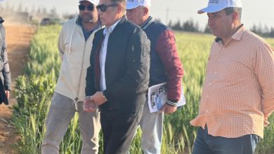 صورة  “شركة الريف المصرى ” ترفع درجة الإستعداد القصوى.. لمواجهة موجة الطقس السيئ فى مختلف مناطق مشروع المليون ونصف المليون فدان
