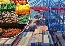 صورة “الزراعة” تعلن خطة لنفاذ الصادرات الزراعية المصرية للأسواق العربية والخليجية