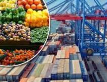 صورة “الزراعة” تعلن خطة لنفاذ الصادرات الزراعية المصرية للأسواق العربية والخليجية