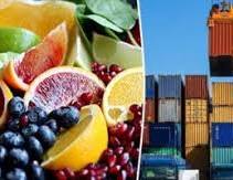 صورة “الزراعة ” تعلن فتح السوق السلفادوري أمام صادرات “الليمون المصري”