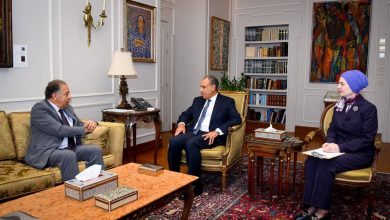 صورة وزير الخارجية يستقبل رئيس لجنة الشئون الأفريقية بمجلس النواب