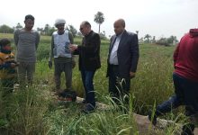 صورة مديريات الزراعة” تكثف الجولات الميدانية لمتابعة صرف الأسمدة وتوريد قصب السكر في المحافظات