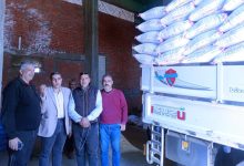 صورة “الزراعة” تشن حملاتها لمكافحة الغش في التقاوي.. ضبط كميات كبيرة من تقاوي الأرز بكفر الشيخ