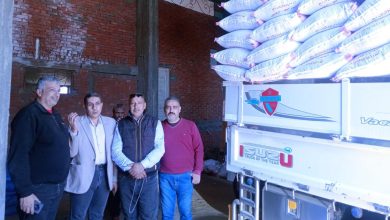 صورة “الزراعة” تشن حملاتها لمكافحة الغش في التقاوي.. ضبط كميات كبيرة من تقاوي الأرز بكفر الشيخ