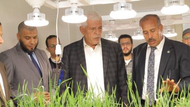 صورة «أكساد»:برنامج للشراكة بين المركز و«البحوث الزراعية» لإستنباط سلالات من القمح أكثر تحملا لملوحة التربة