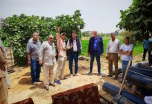 صورة “الزراعة” تتابع مشروعات تطوير الري والجمعيات الزراعية بقنا