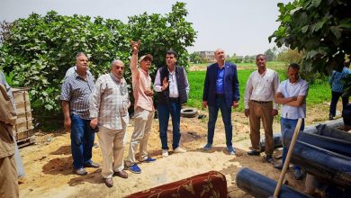 صورة “الزراعة” تتابع مشروعات تطوير الري والجمعيات الزراعية بقنا