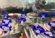 صورة أسعار الأسماك اليوم بمنافذ التموين “كاري أون