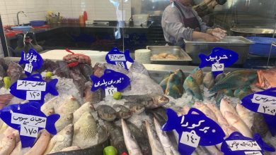 صورة أسعار الأسماك اليوم بمنافذ التموين “كاري أون
