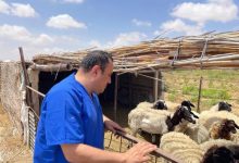 صورة فاروق : تعزيز للشراكات الدولية والمحلية لخدمة 11 ألف فدان بالتجمعات الزراعية بسيناء