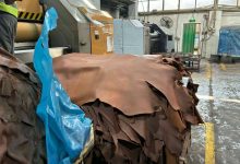 صورة “الزراعة” : إنتاج  162 ألف جلد كمنتج ثانوي بالمجازر المعتمدة