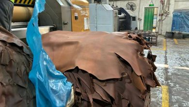 صورة “الزراعة” : إنتاج  162 ألف جلد كمنتج ثانوي بالمجازر المعتمدة