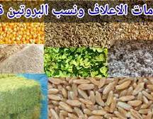 صورة الدكتور فوزي ابودنيا يكتب :تباين بيانات خامات الأعلاف فى المصانع وتاثيرها على جودة المنتج