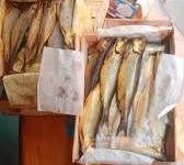 صورة  لجنة تُجَّار الأسماك بغرفة القاهرة يكشف زيادة في المعروض واستقرار السوق مع حلول موسم شم النسيم