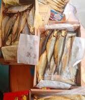 صورة  لجنة تُجَّار الأسماك بغرفة القاهرة يكشف زيادة في المعروض واستقرار السوق مع حلول موسم شم النسيم