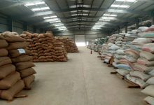 صورة البنك الزراعي المصري يُنهي استعداداته لاستقبال موسم توريد القمح 2026