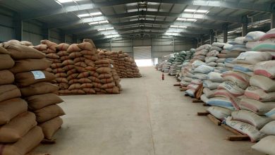 صورة البنك الزراعي المصري يُنهي استعداداته لاستقبال موسم توريد القمح 2026