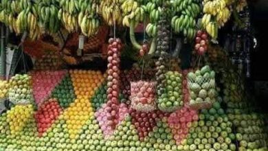 صورة  “الزراعة ” تعلن فتح 4 أسواق تصديرية جديدة لـ “البرتقال والعنب وشتلات الفراولة” بالأمريكتين