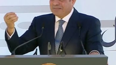 صورة  السيسى : الدولة تتحرك من خلال مشروعات «شركة  الريف المصرى » نحو مضاعفة التوسع الزراعى وتحقيق الأمن الغذائى