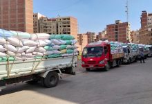 صورة التموين : الذهب الأصفر يتدفق إلى شون صوامع القليوبية .. وتقديم كافة التيسيرات لتوريد القمح