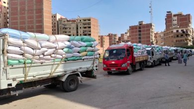 صورة التموين : الذهب الأصفر يتدفق إلى شون صوامع القليوبية .. وتقديم كافة التيسيرات لتوريد القمح